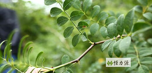 ������ˮ�ȵĹ�Ч�����