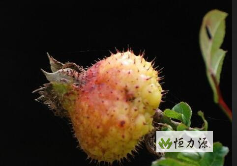 ������ˮ�ȵĹ�Ч�����