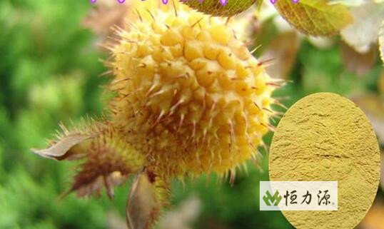 �����������еķḻά����C�ܹ���Ч�����ƻ�Ѫ��