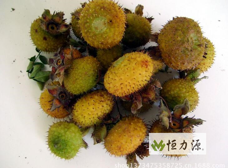 ���ݴ������g