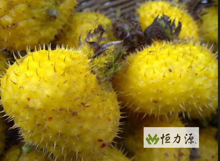 ���ݴ������