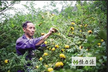 ���ݴ������