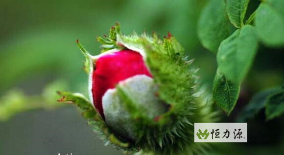 ���ݴ����ҵ