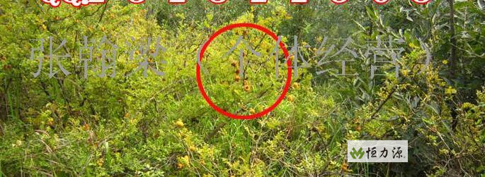 ���ݴ����ҵ