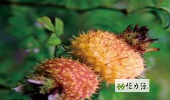 ���ݴ����ҵ