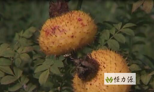 �������������ﵽʮ���������