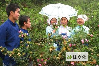 �������ϳ��¸�