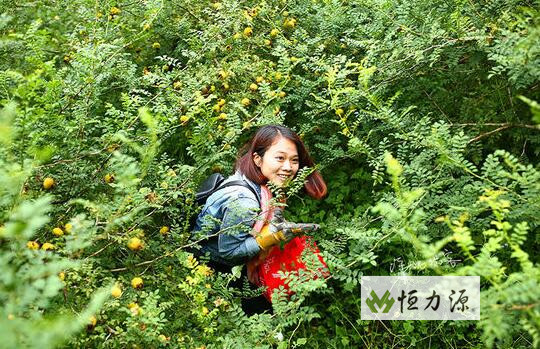 �����к���ά�����彡���������һ���л�������