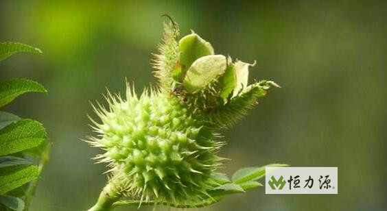 ������172��ˮ��Ӫ������֤��