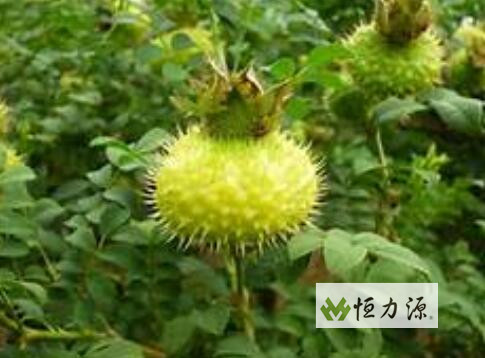 ������172��ˮ��Ӫ������֤��