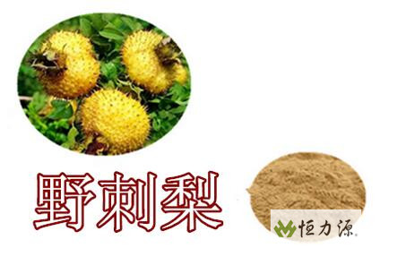 ����ʮ����湵����