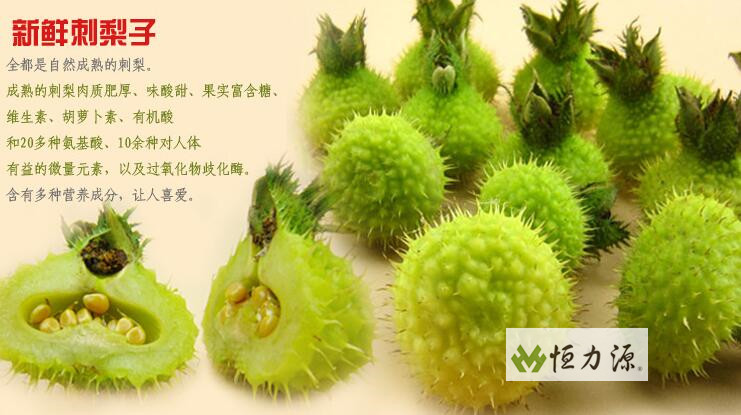 ����ʮ����湵����