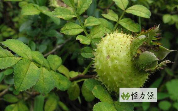 ​Ұ������ȡ�����