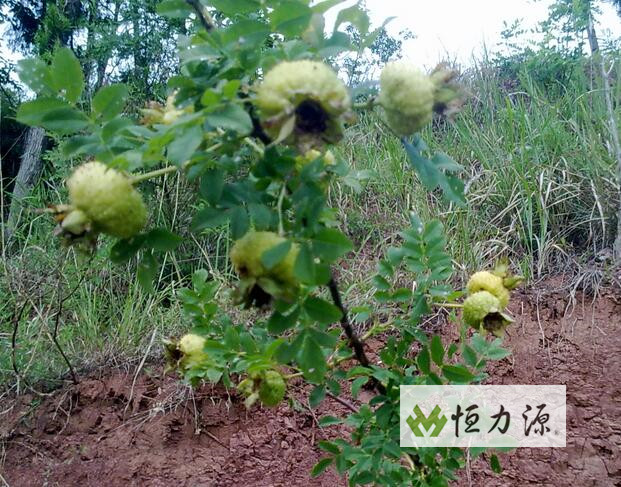 ​Ұ������ȡ�����