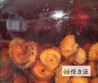 刺梨增强机体对传染的抵抗力 刺梨提取物介绍