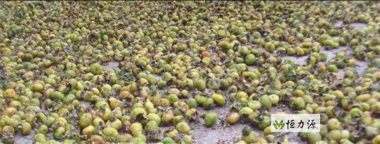 ������еĴ����̲��ƽ���