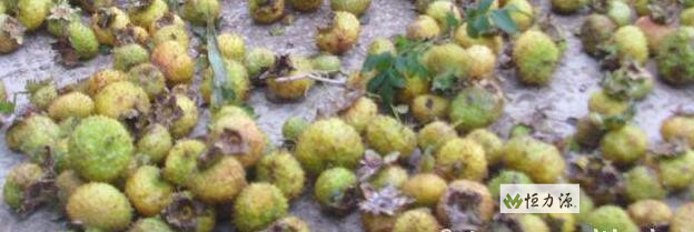 ������еĴ����̲��ƽ���