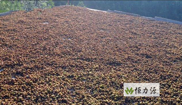 ������ʲô����?