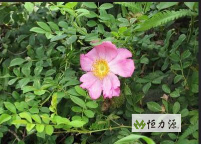 ���漰�����ܷӽ���