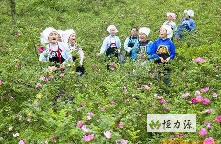 ����Ĺ�Ч��������ĳ��ٹ�