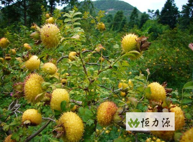 ����Ĺ�Ч��������ĳ��ٹ�