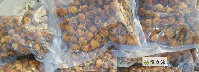 ������ôʳ�ã�