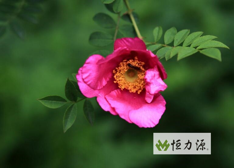 ����֭������������