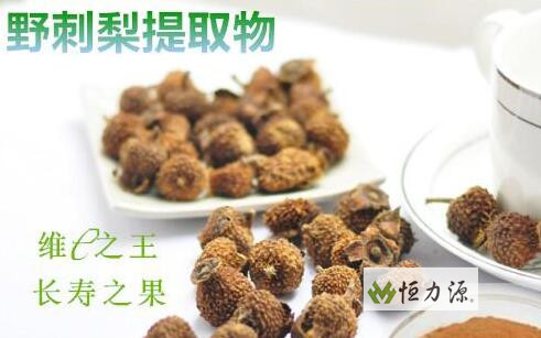 ����֭������������