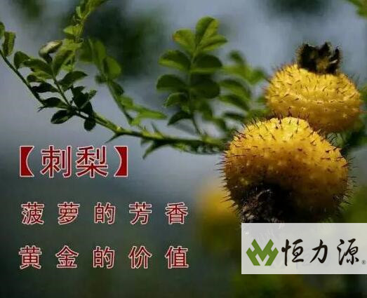 1490946174183612.jpg QQ截图20170323104122.jpg