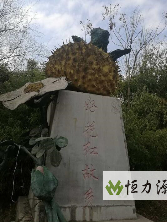 ���������ʹ���