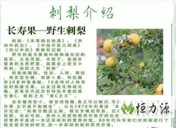 ���������ʹ���