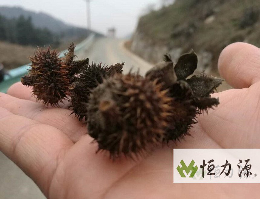 �����������Ӳ����뷽������