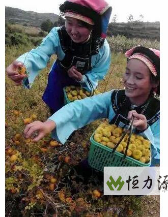 1490948828325416.jpg QQ截图20170323131351.jpg