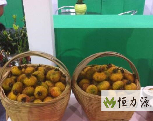 1490948868693696.jpg 对刺梨种子的挥发性组分进行检测