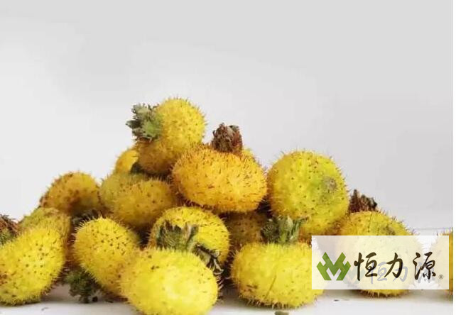 1490950268818891.jpg 刺梨多糖对动物免疫功能的影响