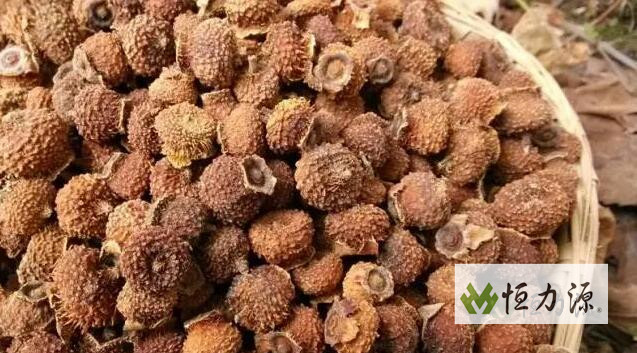 �������ӵĻӷ�����ֽ��м������뷽��g