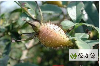 �������ӵĻӷ�����ֽ��м������뷽��