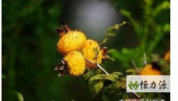 ��˳����3�ִ���Ӫ��Ʒ�ʵıȽ�