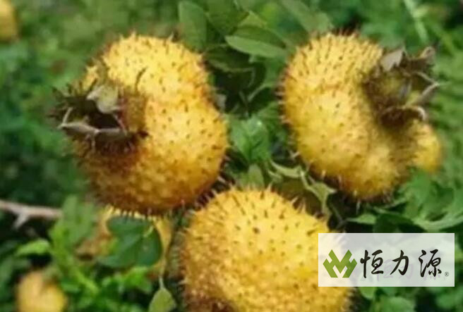 ����ӷ��ͳɷַ���