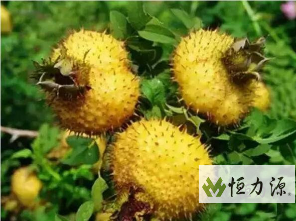 ����ӷ��ͳɷַ���