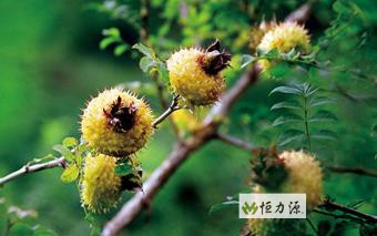 ���� (2).jpg