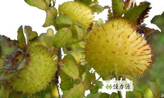 ���� (3).jpg