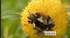 ���� (8).jpg