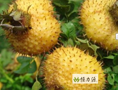 ���� (5).jpg