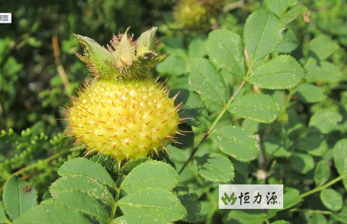 ���� (6).jpg