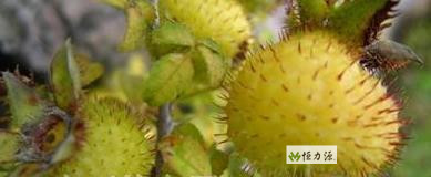 ���� (9).jpg