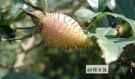 ���� (7).jpg