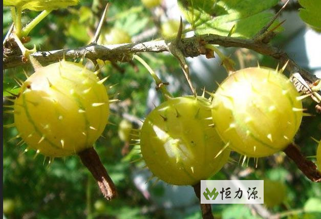 ���� (14).jpg