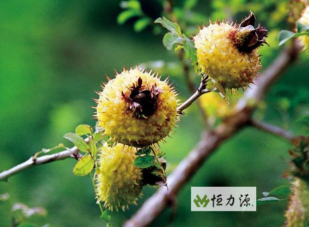 ���� (16).jpg