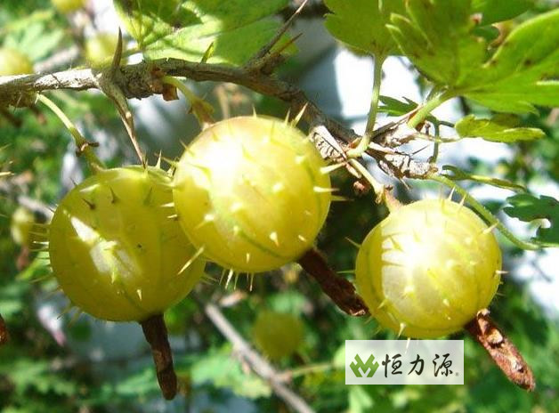 ���� (15).jpg